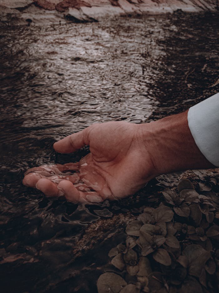 An adult hand gently interacts with a stream, surrounded by natural foliage.